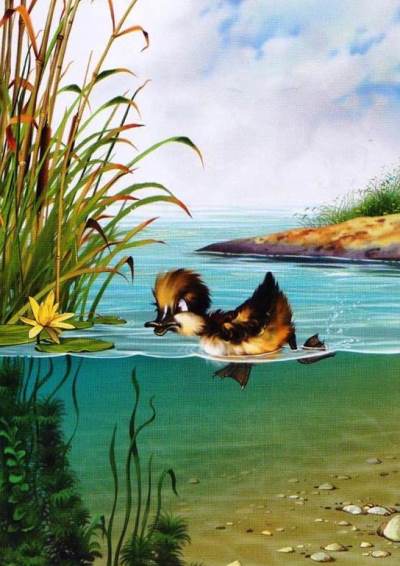 Гадкий утенок. Ишь как славно гребет лапками