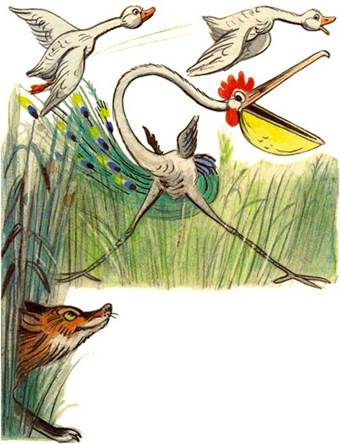 Это что за птица? - В.Сутеев