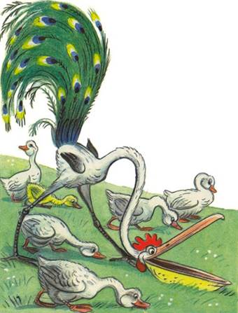 Это что за птица? - В.Сутеев