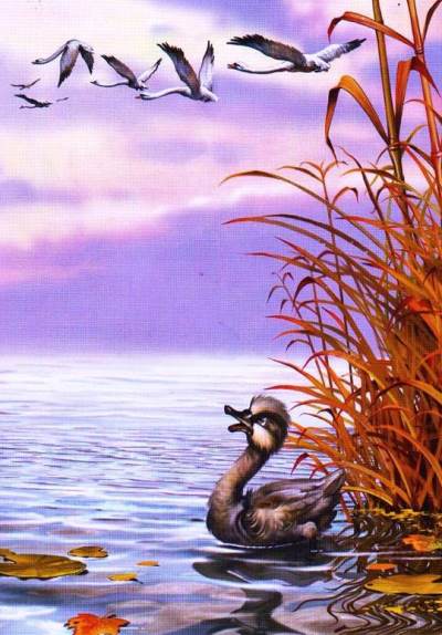 Гадкий утенок. Чудные птицы не шли у него из головы