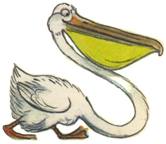 Это что за птица? - В.Сутеев