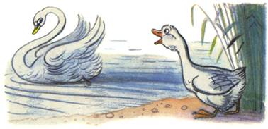 Это что за птица? - В.Сутеев