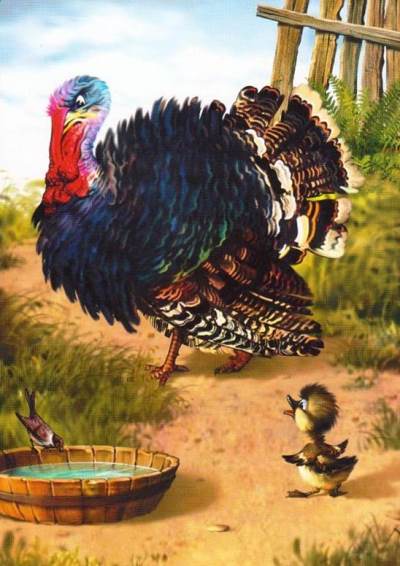 Гадкий утенок. Утенок не знал, что ему делать