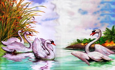 Гадкий утенок. Чудные белые лебеди