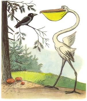 Это что за птица? - В.Сутеев