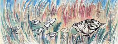 Перепёлка и её дети. Толстой Л. Н.