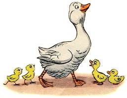 Это что за птица?