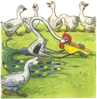 Это что за птица? - В.Сутеев