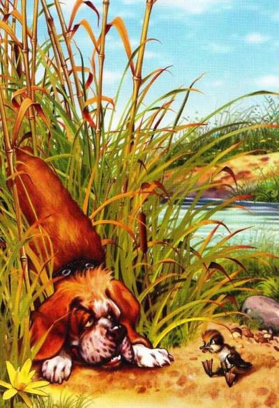 Гадкий утенок. Охотничья собака