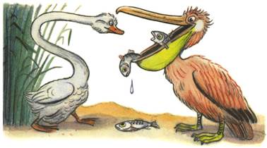 Это что за птица? - В.Сутеев