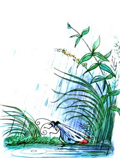 Ползёт к грибу мокрая Бабочка