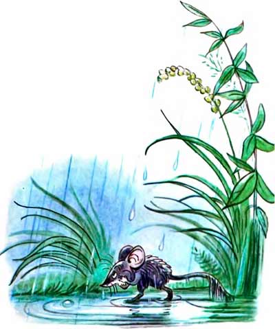 Бежит мимо Мышка