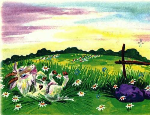 Белая козочка - 11