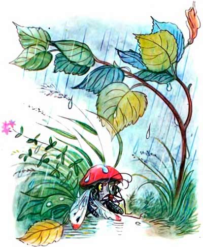 Пустил Муравей Бабочку под грибок