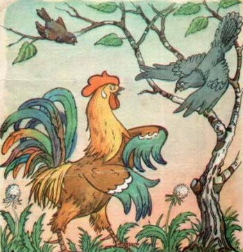 Кукушка и петух