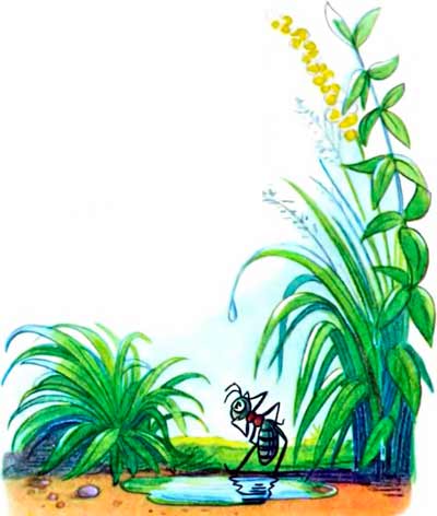 Муравей задумался и говорит