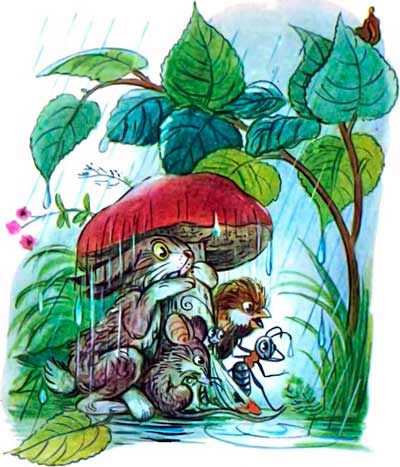 Спрятали Зайца