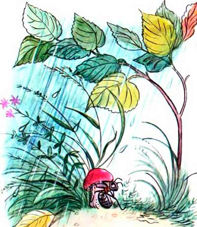 Муравей спрятался под его шляпкой