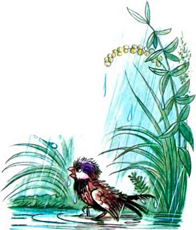 Мимо гриба Воробей скачет и плачет