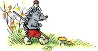 Ёжик которого можно было погладить. Михаил Пляцковский