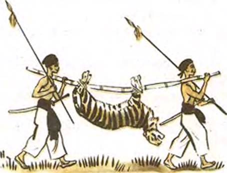 Лиса спаслась, тигр погиб