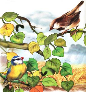 Синичкин календарь. Сентябрь. Виталий Бианки