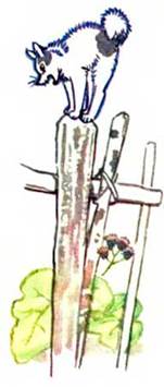 Собака и кошка. - Сергей Баруздин