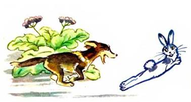 Собака и кошка