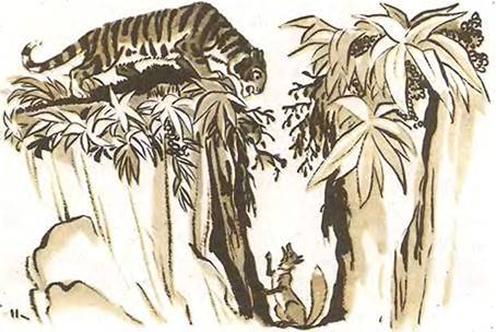 Вьетнамская сказка. Лиса спаслась, тигр погиб