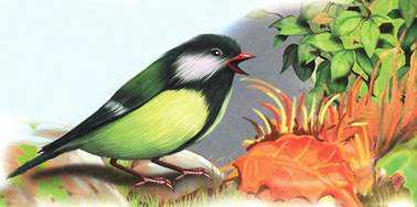 Синичкин календарь Октябрь