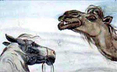 Откуда у верблюда горб. Киплинг Р. Д.