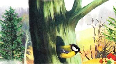 Синичкин календарь. Октябрь. Виталий Бианки