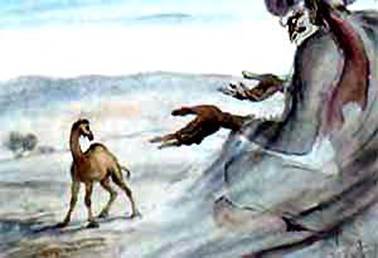 Откуда у верблюда горб. Киплинг Р. Д.