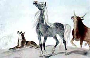 Откуда у верблюда горб. Киплинг Р. Д.