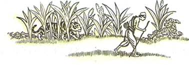 Добромысл и Зломысл