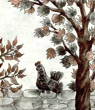 Вольная птица воробей и домашняя птица курица