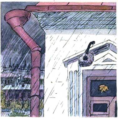 Кленовый лист. Иван Шутов