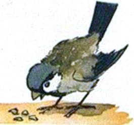 Кленовый лист. Иван Шутов