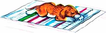 Вернулся Щенок на свой коврик и улёгся спать.