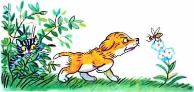 Мохнатая Пчела