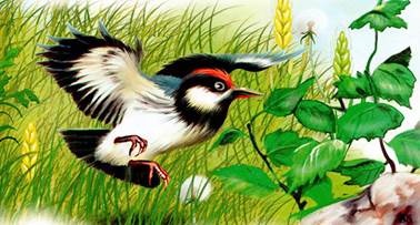 Синичкин календарь. Июнь. Виталий Бианки