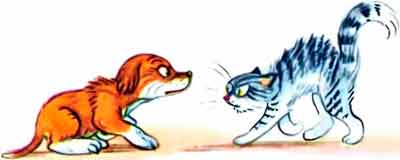 Кошка изогнулась, зашипела: Ш-ш-ш!