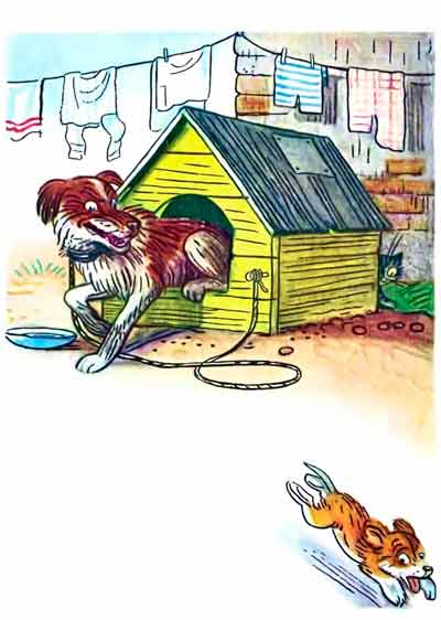 Со всех ног бросился Щенок в сад