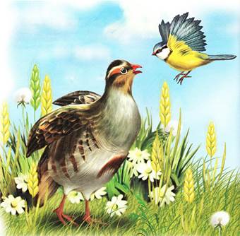 Синичкин календарь. Июнь. Виталий Бианки