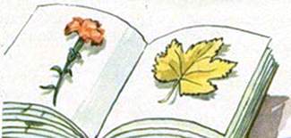 Кленовый лист. Иван Шутов