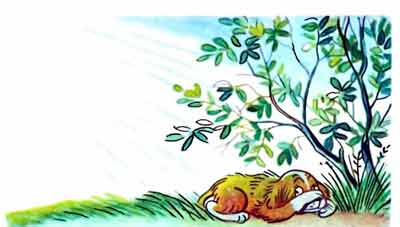 Щенок спрятался под кустом