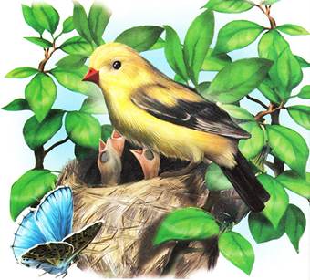 Синичкин календарь Июнь