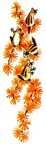 Волк и бурундуки