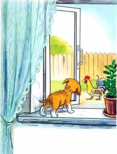 Влез на подоконник, увидел — за окном во дворе гуляет Петух