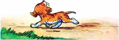 Сейчас я его поймаю...